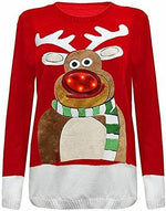 Load image into Gallery viewer, Unisex 3D LED NOSE Novelty Sweater Jumper For Adult