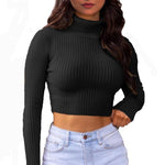 Load image into Gallery viewer, LUXE DIVA Womens Long Sleeves knitted Ribbed Polo Neck Crop Top