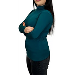 Load image into Gallery viewer, Ladies Polo Roll Neck Long Sleeve Turtle Neck Plain Jumpers