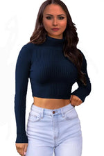 Load image into Gallery viewer, LUXE DIVA Womens Long Sleeves knitted Ribbed Polo Neck Crop Top