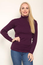 Load image into Gallery viewer, LUXE DIVA LADIES KNITTED POLO NECK JUMPER REMEL LABEL ( merry gold ) SUPER STRECH FINE KNIT POLO NECK