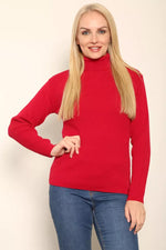 Load image into Gallery viewer, LUXE DIVA LADIES KNITTED POLO NECK JUMPER REMEL LABEL ( merry gold ) SUPER STRECH FINE KNIT POLO NECK