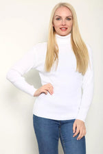 Load image into Gallery viewer, LUXE DIVA LADIES KNITTED POLO NECK JUMPER REMEL LABEL ( merry gold ) SUPER STRECH FINE KNIT POLO NECK