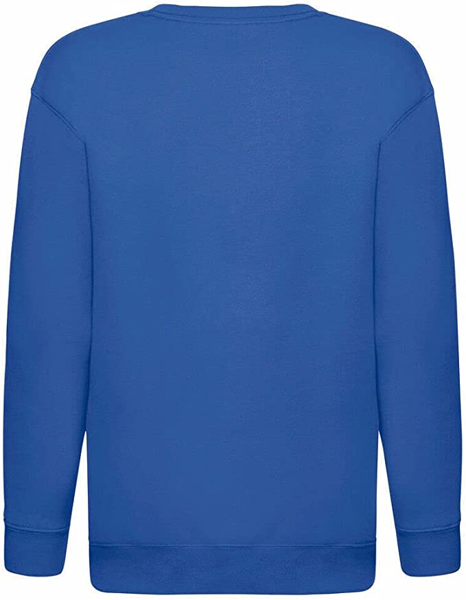 Kids Sweatshirt Boys and Girls Pullover Jumper Unisex Long Sleeve T-Shirts Tops Spring Autumn Solid Color Casual Sweater for 3-15 Years