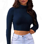 Load image into Gallery viewer, LUXE DIVA Womens Long Sleeves knitted Ribbed Polo Neck Crop Top

