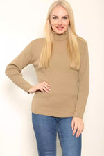 Load image into Gallery viewer, LUXE DIVA LADIES KNITTED POLO NECK JUMPER REMEL LABEL ( merry gold ) SUPER STRECH FINE KNIT POLO NECK
