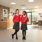 LUXE DIVA Kids Pack of 2 Girls Boys V Neck Jumper School Uniform Long Sleeve Sweater