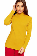 Load image into Gallery viewer, Plus Size Ladies High Polo Roll Neck Long Sleeve Ribbed Knitted Jumper Sweater
