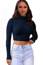 Load image into Gallery viewer, LUXE DIVA Womens Long Sleeves knitted Ribbed Polo Neck Crop Top
