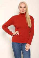 Load image into Gallery viewer, LUXE DIVA LADIES KNITTED POLO NECK JUMPER REMEL LABEL ( merry gold ) SUPER STRECH FINE KNIT POLO NECK
