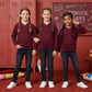 LUXE DIVA PACK OF 3 Jumper Pullover V Neck School Uniform