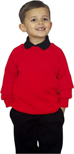 Load image into Gallery viewer, Kids Sweatshirt Boys and Girls Pullover Jumper Unisex Long Sleeve T-Shirts Tops Spring Autumn Solid Color Casual Sweater for 3-15 Years
